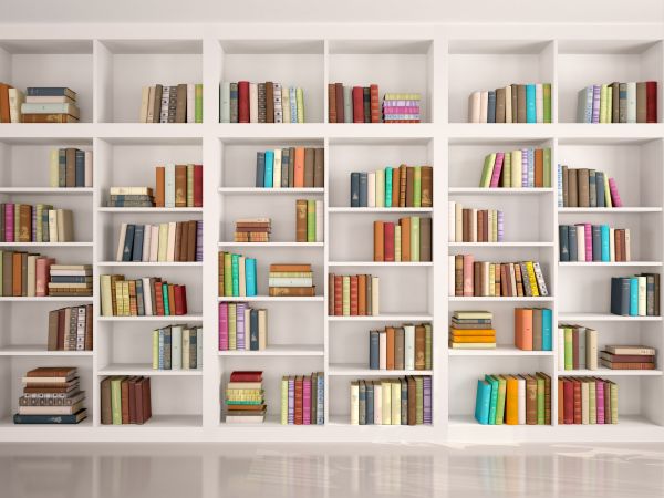 Bookshelf Assembly in Woodbridge
